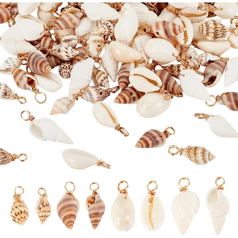 100pcs 4 Styles Natural Shell  - Jewelry Making Course 评论和价格