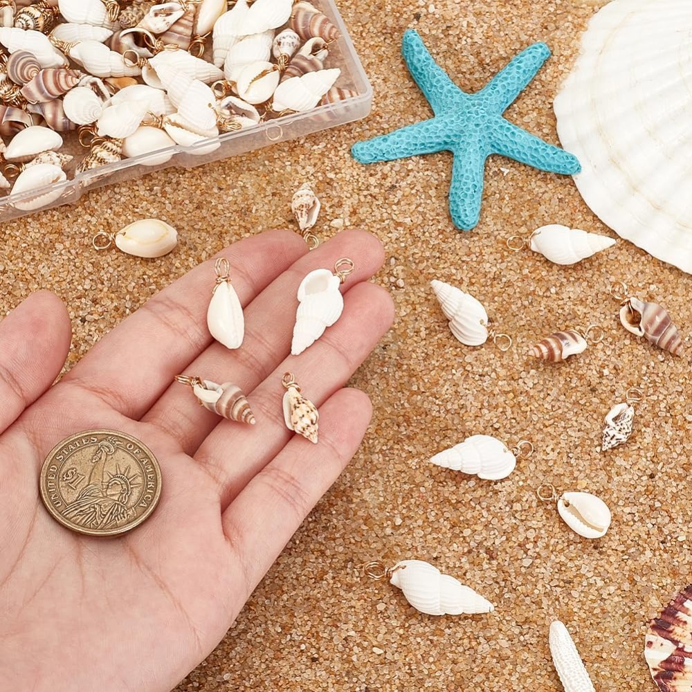 100pcs 4 Styles Natural Shell  - Jewelry Making Course 评论和价格
